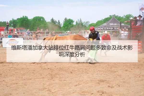 维斯塔潘加拿大站排位红牛路肩问题多致命及战术影响深度分析